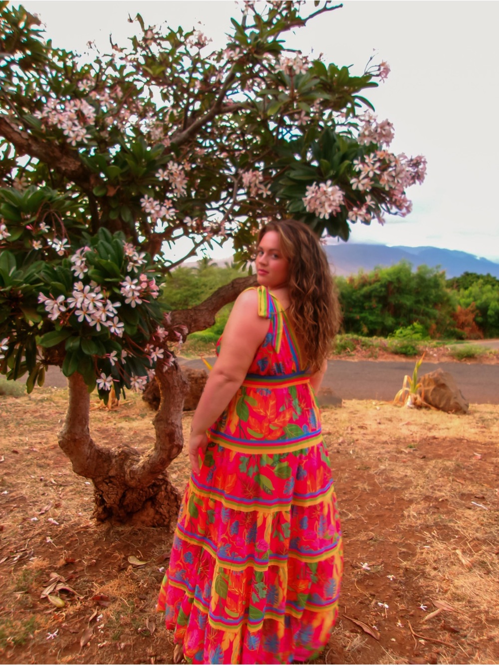 Fashion Nova Barbados Maxi Drees - Picture 2 of 3